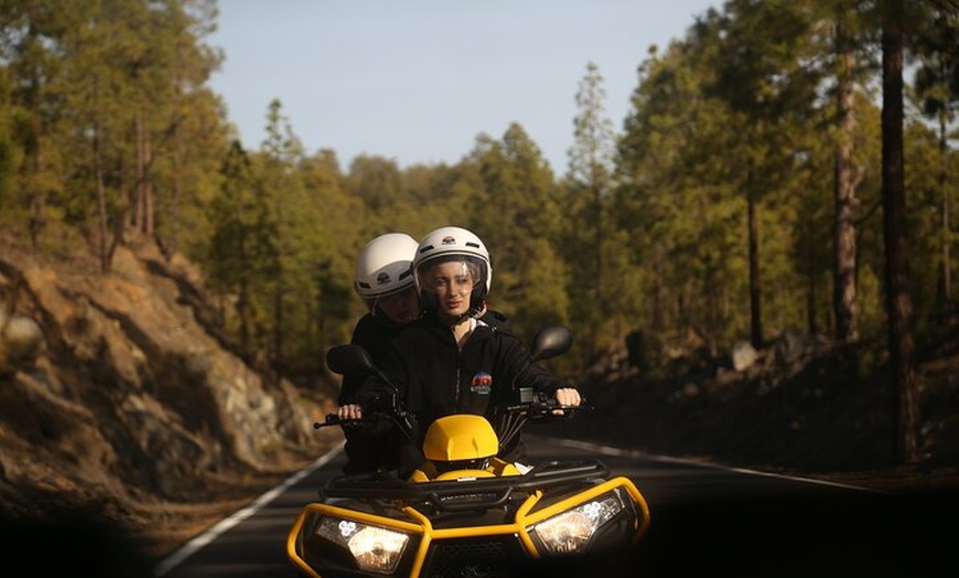 Image 8: Excursión volcánica al Teide Parque Nacional del Teide
