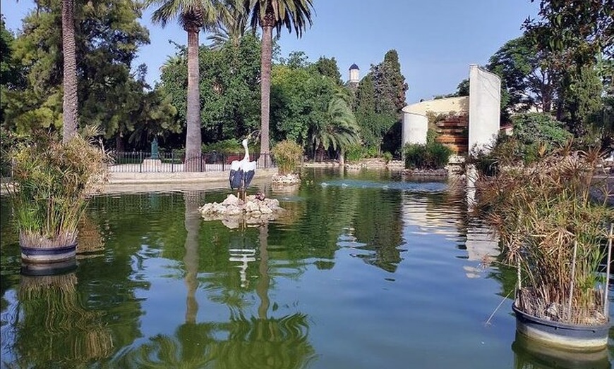 Image 24: Descubre Valencia en bici – tour en holandés