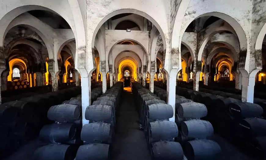 Image 7: Excursión privada de un día a Cádiz y Jerez desde Marbella