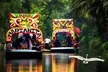Xochimilco Canals Tour with Trajinera Ride & Local Guide - Second Medium