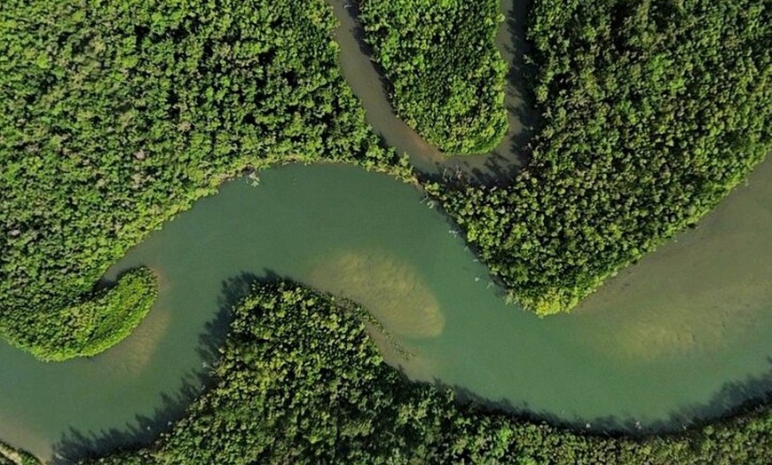 Image 6: Private Luxury Cape Tribulation Adventure and Crocodile Cruise