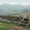 Image 8: Guided hike in Edinburgh's Pentland Hills