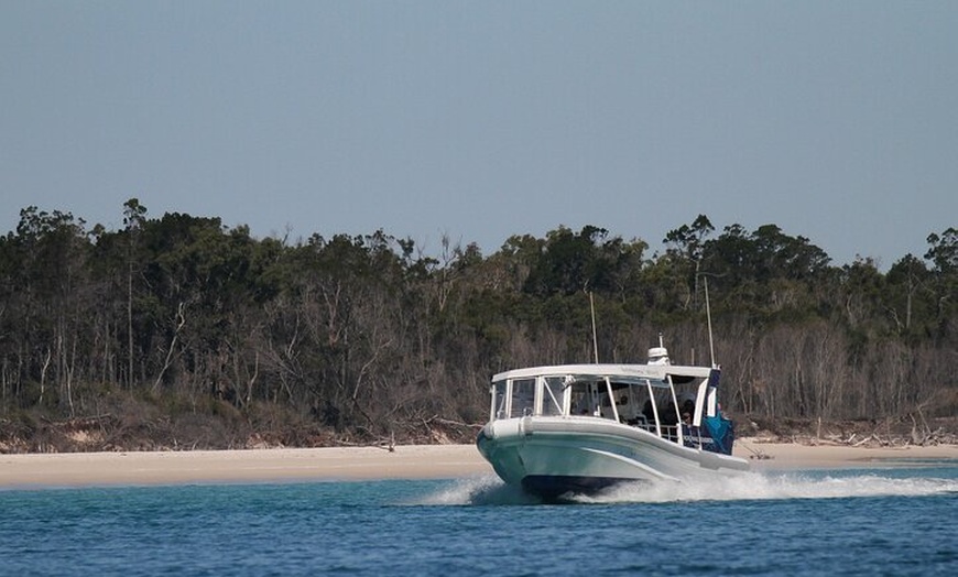 Image 2: Great Sandy Straits Seven Island Ultimate Wildlife Cruise