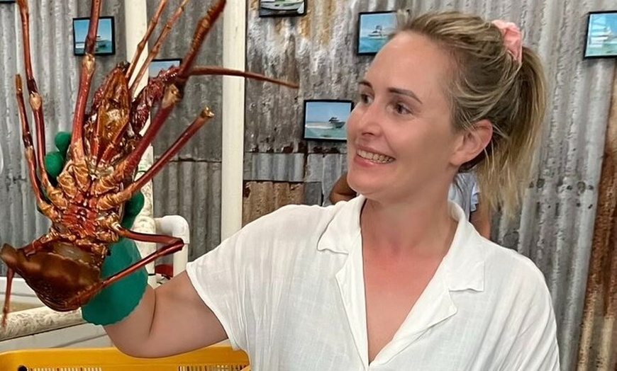 Image 2: Turquoise Coast and Pinnacles Desert Private day Tour from Perth