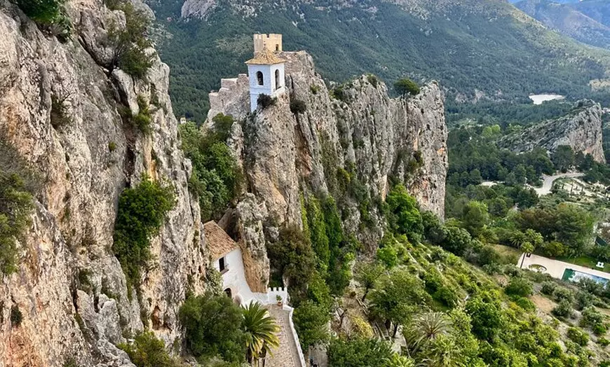 Image 7: Bodega Premium con 7 Catas y Castillo desde Alicante y Benidorm