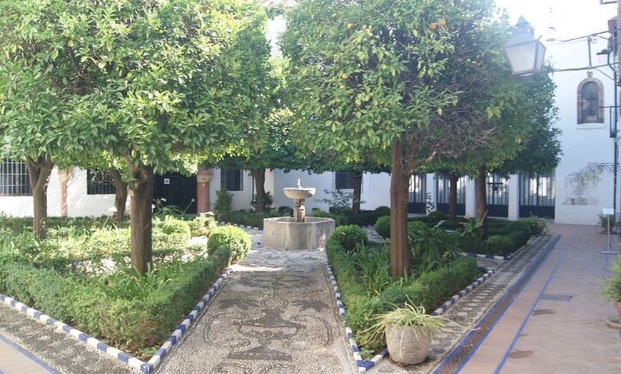 Image 12: Tour del Flamenco por Córdoba