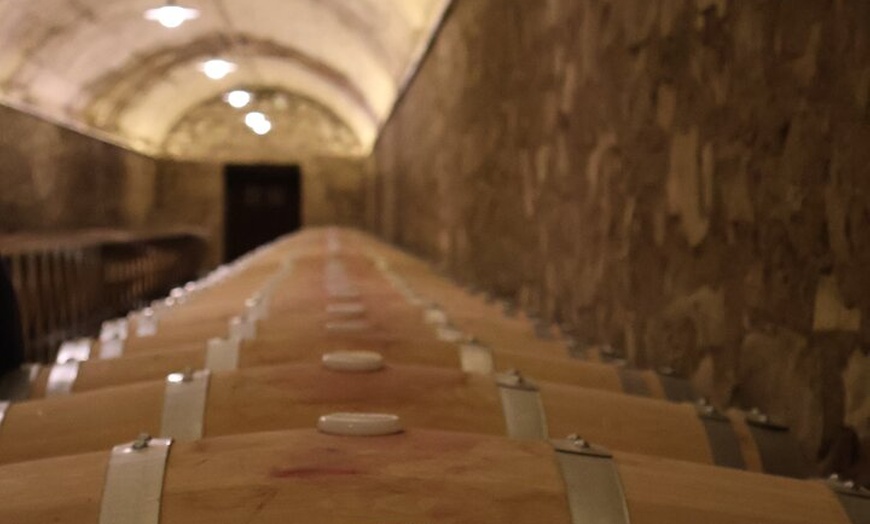 Image 11: Clase magistral de acceso y degustación exclusiva de bodegas secret...