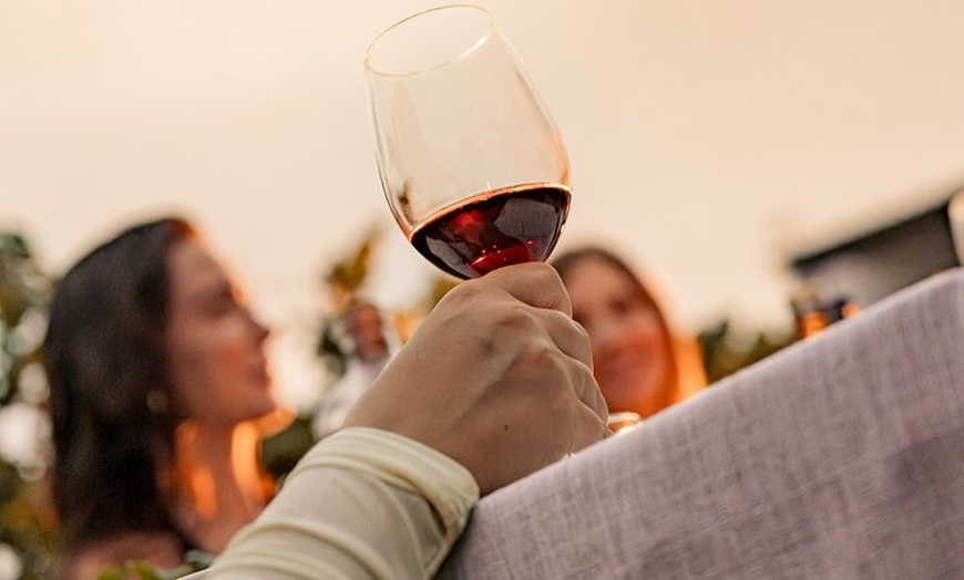 Image 18: Ibiza : Cata privada de vinos y aceites de oliva y Tapas y transporte