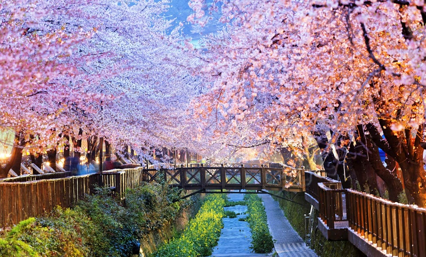 Image 22: ✈ CORÉE DU SUD | De Séoul à Busan - Combiné Séoul - Busan en 4*, 8 ...