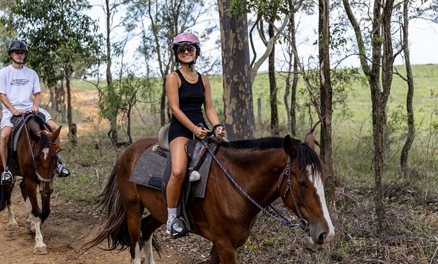 Image 12: Hunter Valley Horse Ride - 90 Minutes -Vineyard & Mountain Views