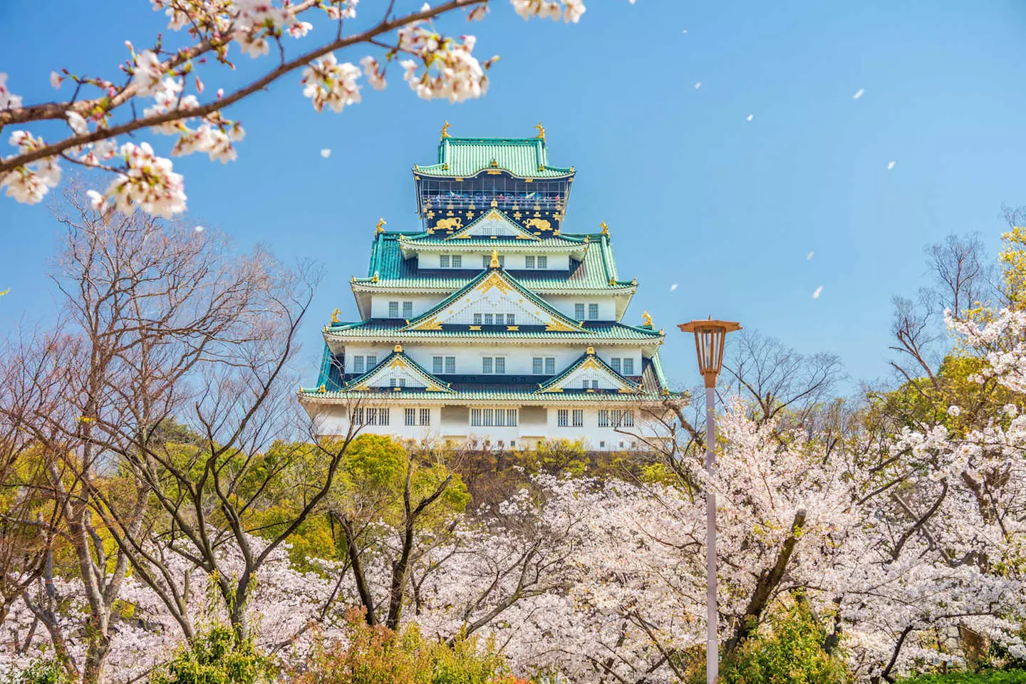 ✈ COREA DEL SUD | Da Seul a Osaka - Fuga asiatica: Dalla Corea del ...