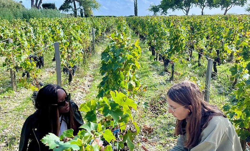 Image 4: Visite privée des vins de Margaux et du Médoc en voiture Citroën cl...