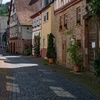 Image 6: Miltenberg - Private Wanderung