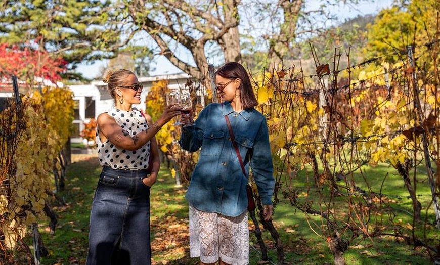 Image 2: Tasmanian Premium Wine Tour with Tasmanian Cheese Platter