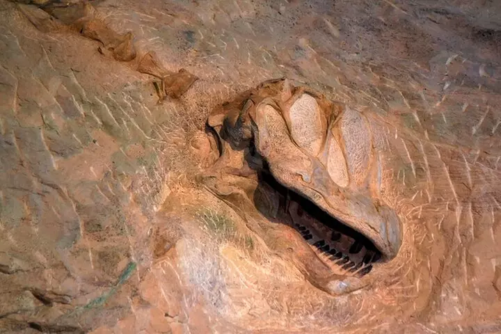 Private Atlanta Stone Mountain Park Sightseeing Tour