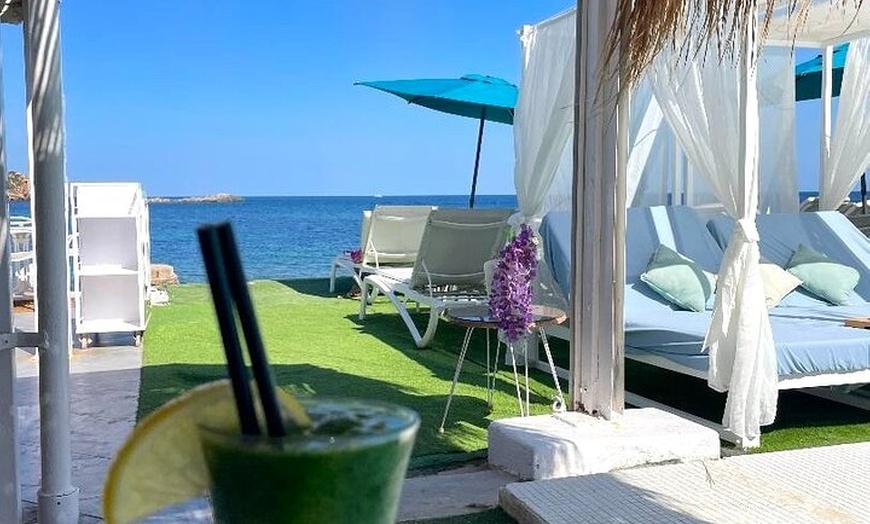 Image 2: Excursiones y retiros personalizados en Ibiza