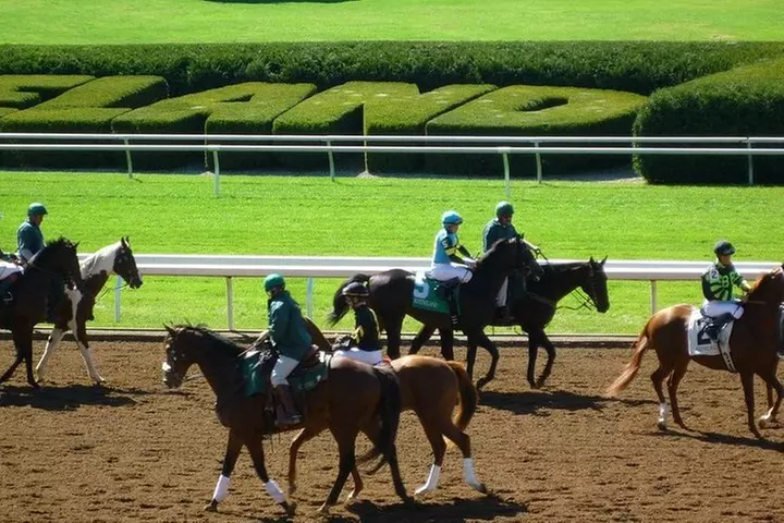 B&C horseback riding in nature and Keeneland racetrack.
