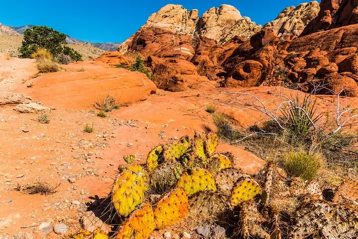 Las Vegas Day TourS Bundle – 8 Self-Guided Adventures