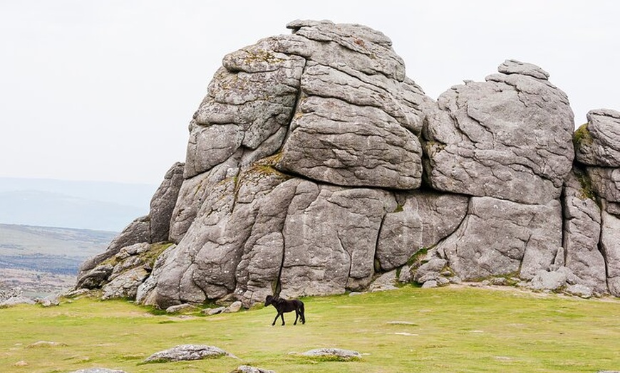 Image 6: Dartmoor National Park - Private Tour (incl. Transport)