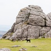 Image 6: Dartmoor National Park - Private Tour (incl. Transport)