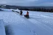 2-Hour Basic Dog Mushing School (without transportation) - Second Medium