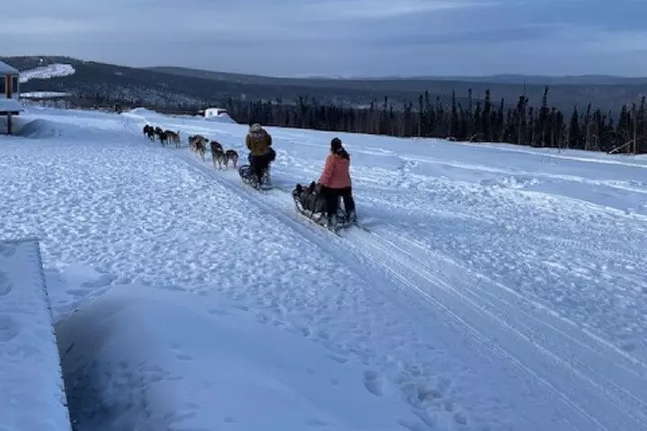 2-Hour Basic Dog Mushing School (without transportation)