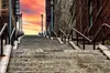 Contrasts of New York Tour