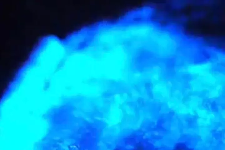 Florida Bioluminescence Clear Kayak tour/ Beacon 42 (Titusville)