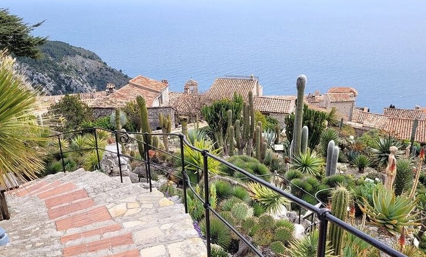 Image 19: Visite privée de Monaco, Cannes et Eze au départ de Nice