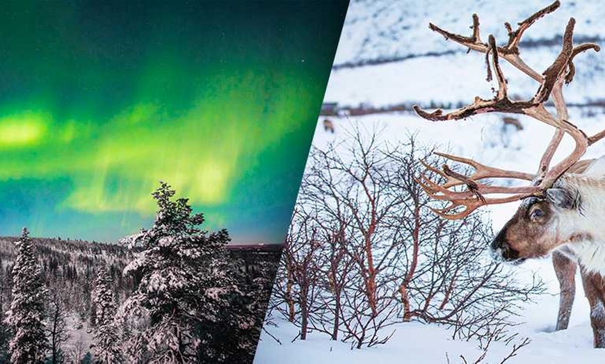Image 1: ✈ LAPONIE | Rovaniemi - Immersion Polaire à Rovaniemi en famille 3*...