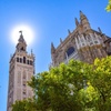 Image 4: Tour por la Catedral de Sevilla y la Giralda