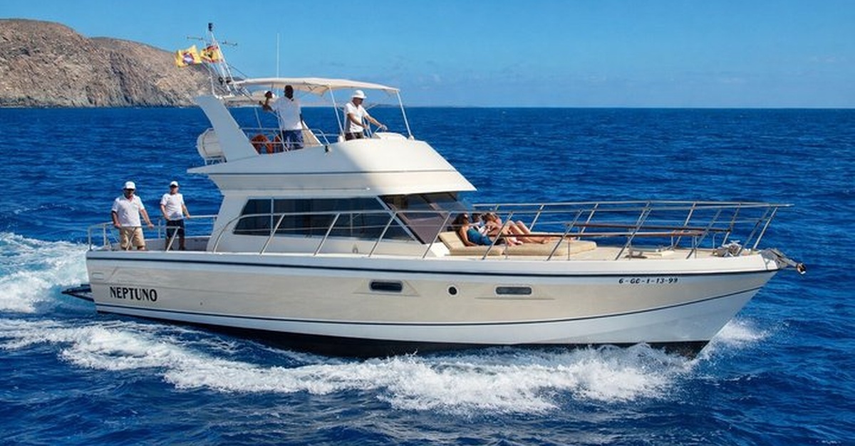 Tour en yate para avistar ballenas con baño y almuerzo en Tenerife