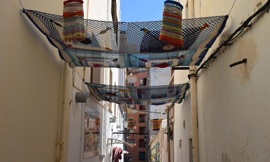 Image 5: Desde Albir y Benidorm Calpe Casco Antiguo y Puerto en Autobús