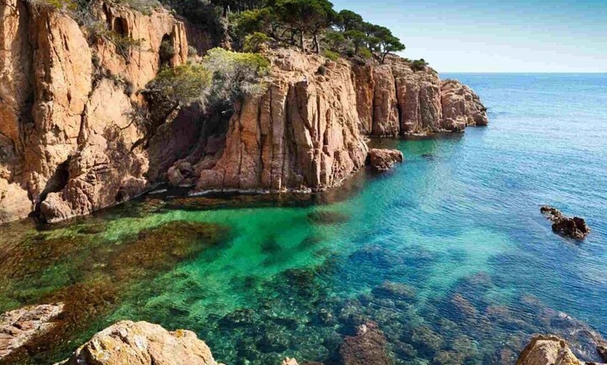 Image 6: Disfruta de un día de Mar, Sol y Vino en Barca por la Costa Brava