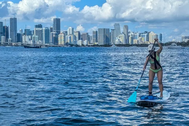 Miami Kayak and Paddleboard Rentals on Biscayne Bay