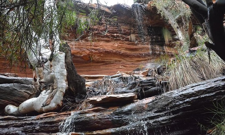 Image 10: Explore the Hidden Gorges: Kalbarri 4WD, Hike, Canoe Experience