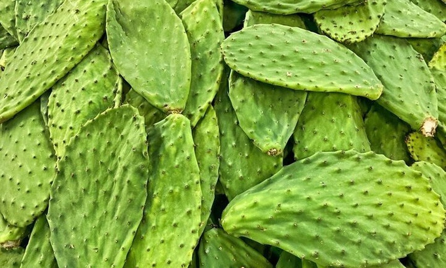 Image 11: Best of Roma Sur Food Crawl in Mexico City