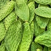 Image 11: Best of Roma Sur Food Crawl in Mexico City