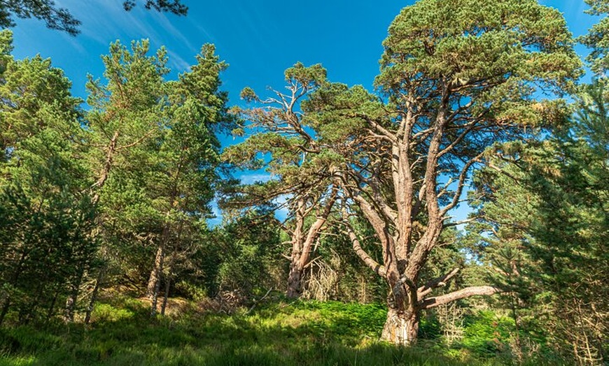 Image 9: Scottish Highlands Walking Small Group Tour from Edinburgh