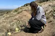 Create Energetic Flower Essences and Reconnect with Nature - Second Medium