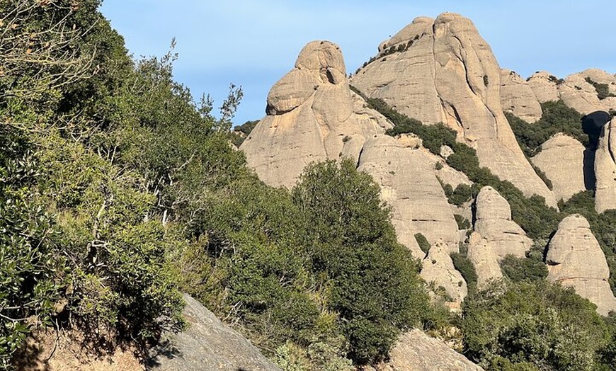 Image 31: Excursión privada al Monasterio de Montserrat con recogida en el hotel