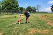 Nashville to Kentucky Caves & Kangaroos: A Day of Enchantment - Second Medium