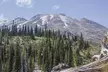 From Portland to Mt. Saint Helen Tour in a Small Group - Second Medium
