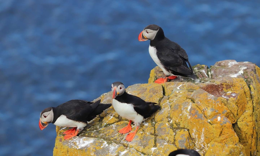 Image 7: ✈ ISLANDE | Reykjavik - Autotour boucle islandaise 3*, 9 nuit - Aut...