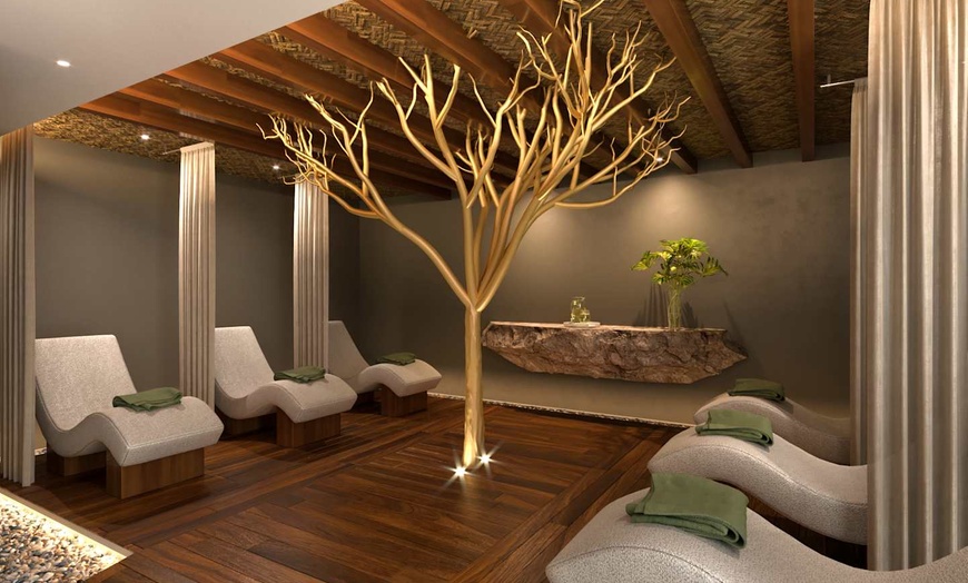 Image 15: ✈ MEXIQUE | Playa del Carmen - The Reef 28 avec Isla Mujeres & Coco...