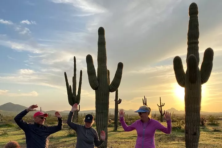 Arizona Desert Guided E-Bike Tour