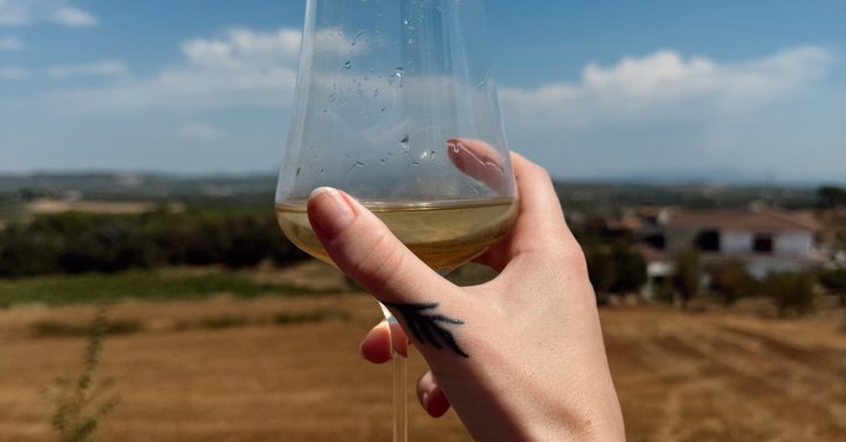 Experiencia de vinos y tour de cava en Penedès, Barcelona