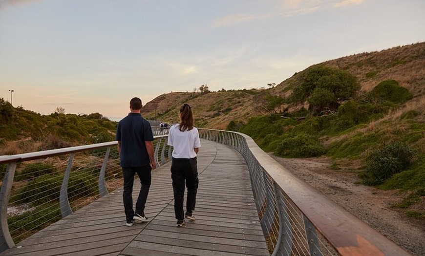 Image 6: Phillip Island Direct Tour Penguin Parade and Coastal Views