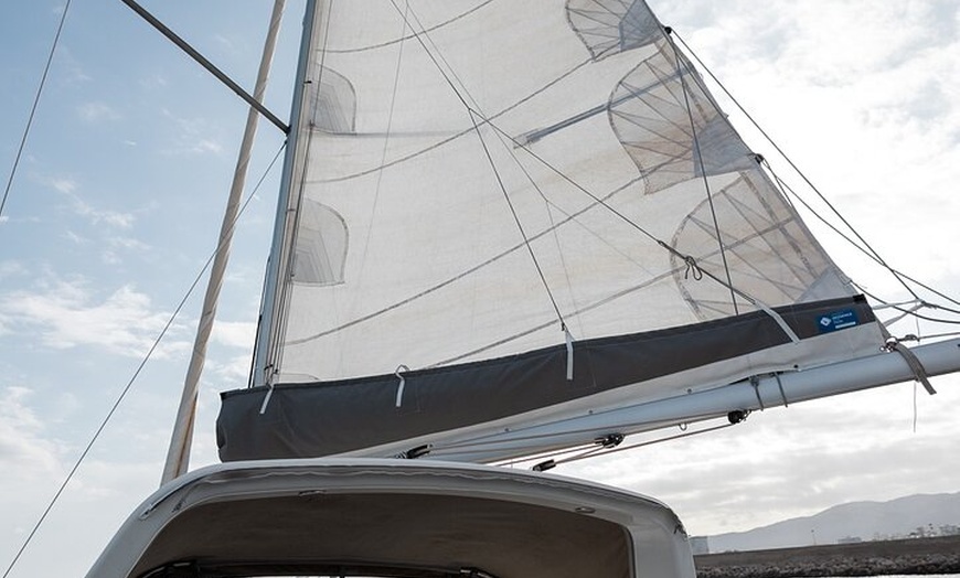 Image 19: Yate a vela privado por la Bahía de Palma y calas cercanas