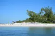 Private Dolphin and Intracoastal Tour of Anna Maria Island - Second Medium